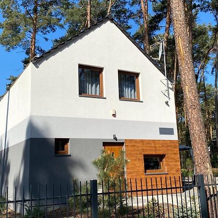 Вилла Grey House Бошково Экстерьер фото